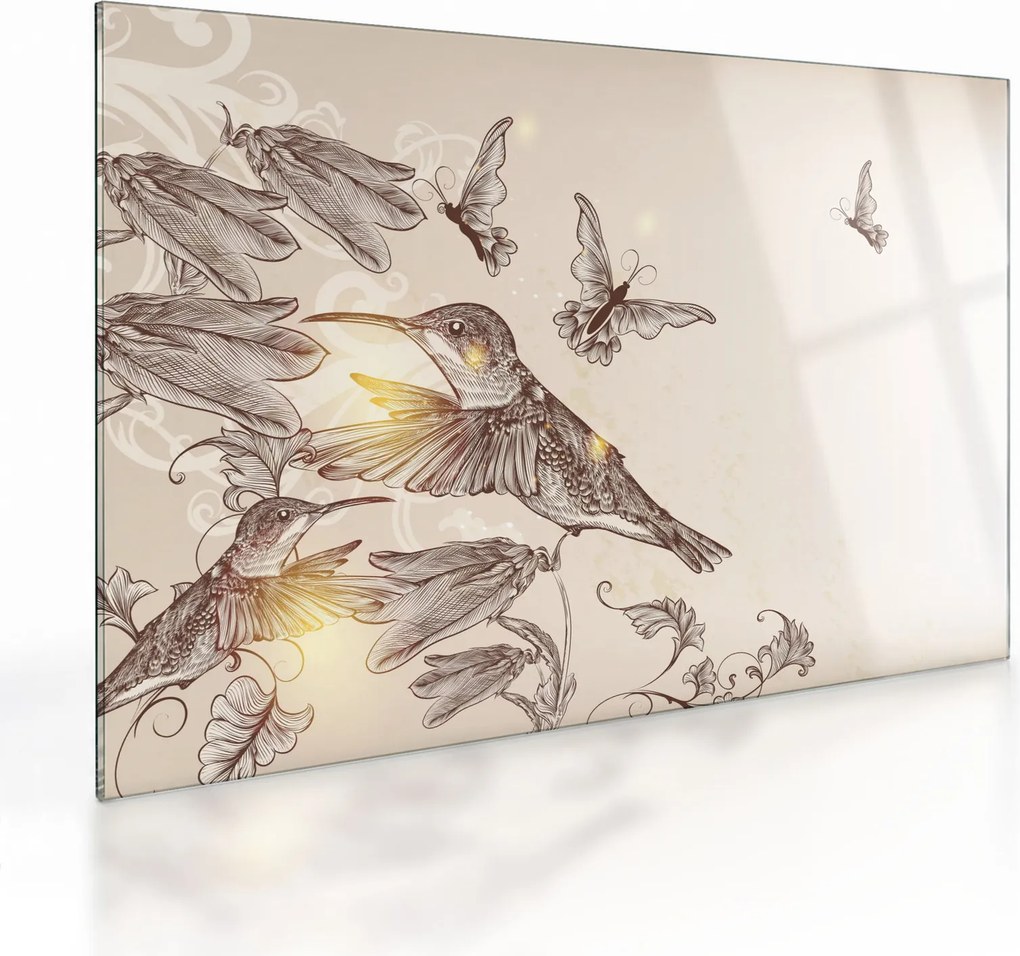 Kép - Kolibri (üvegen) (70x50 cm)