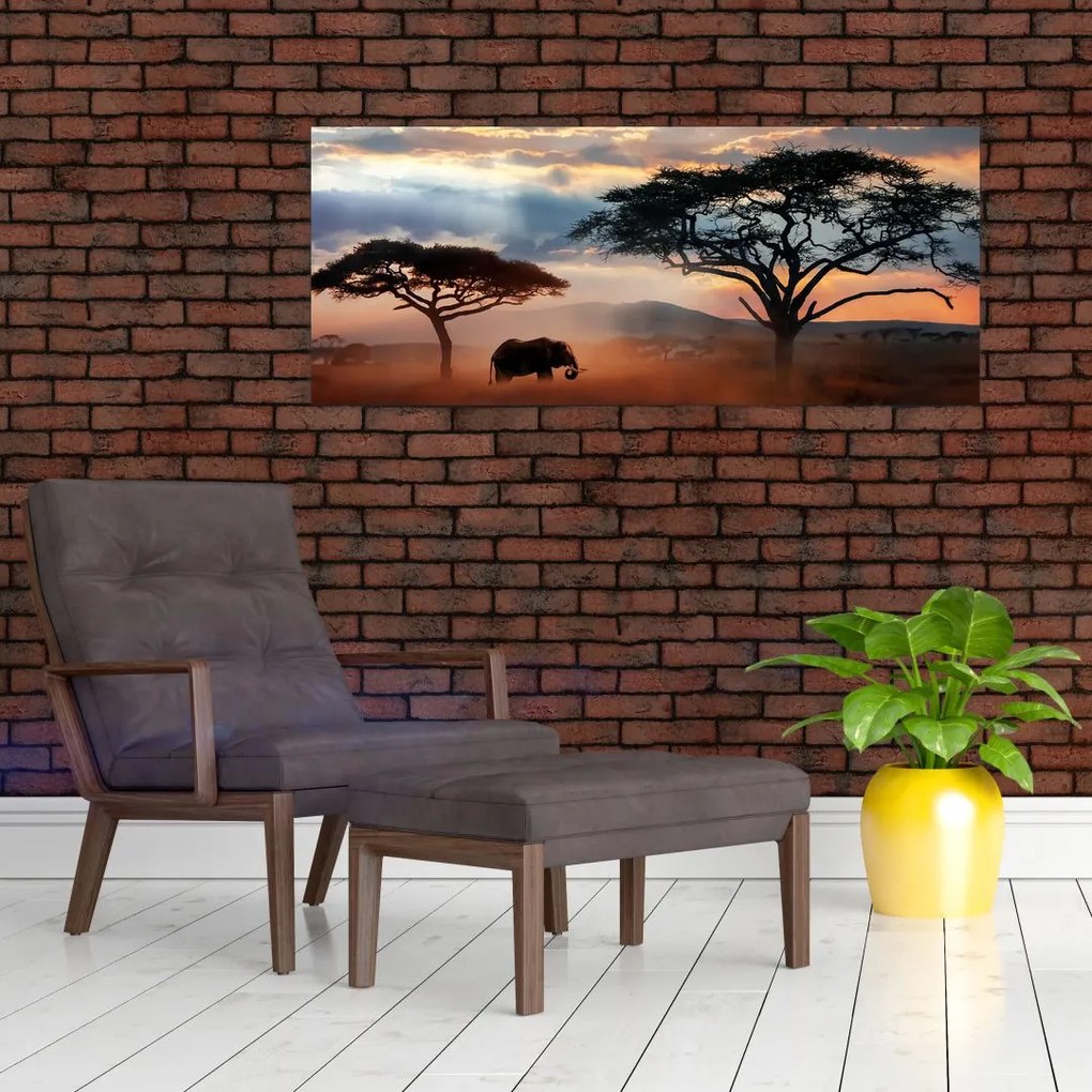 Kép - Serengeti Nemzeti Park, Tanzánia, Afrika (120x50 cm)