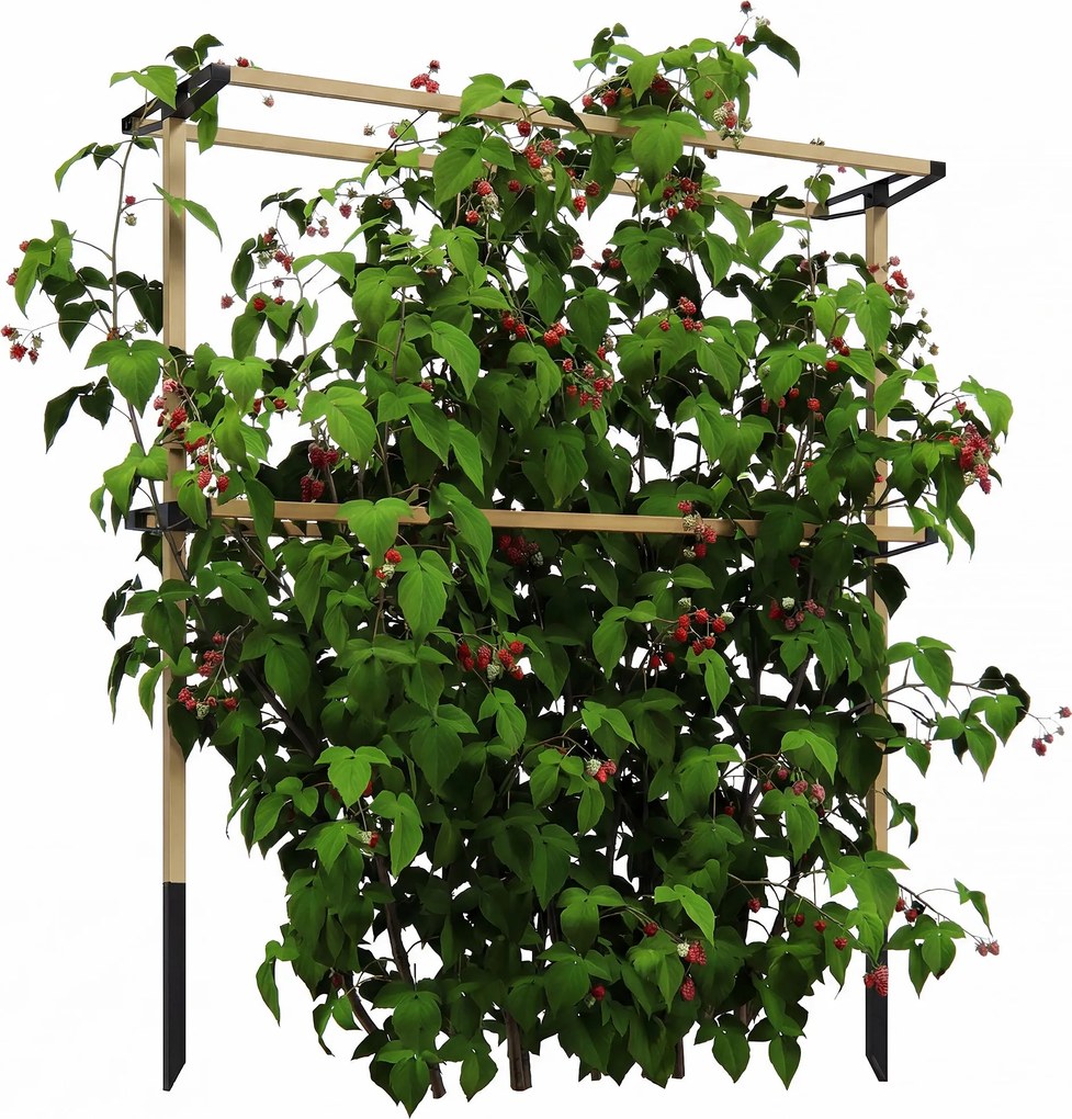 Outsunny fém bogyótámasz málna, szeder és áfonya számára — rugalmas, bővíthető támogatás kertbe és teraszra | Aosom