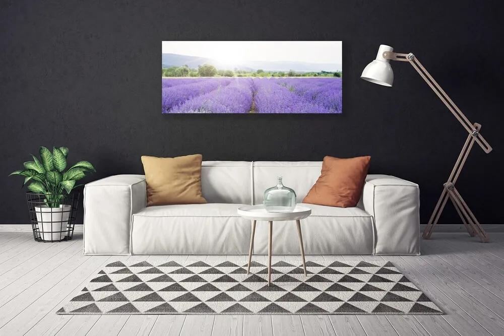 Vászonkép Lavender Field Mező Természet 125x50 cm