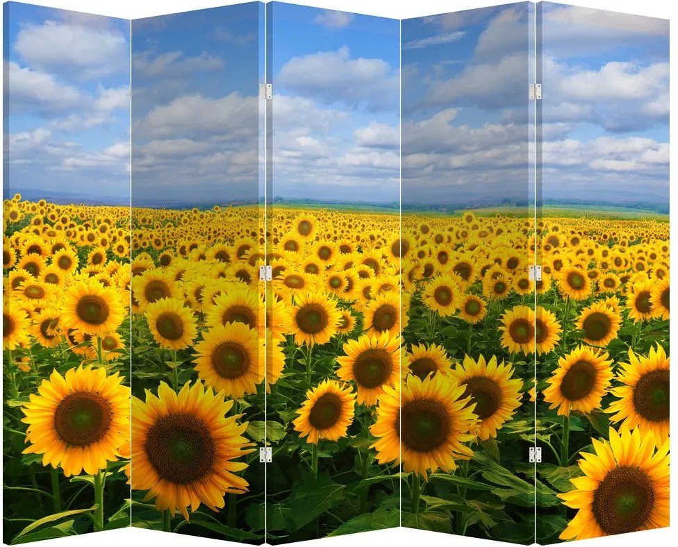 Paraván - A napraforgó mező (210x170 cm)