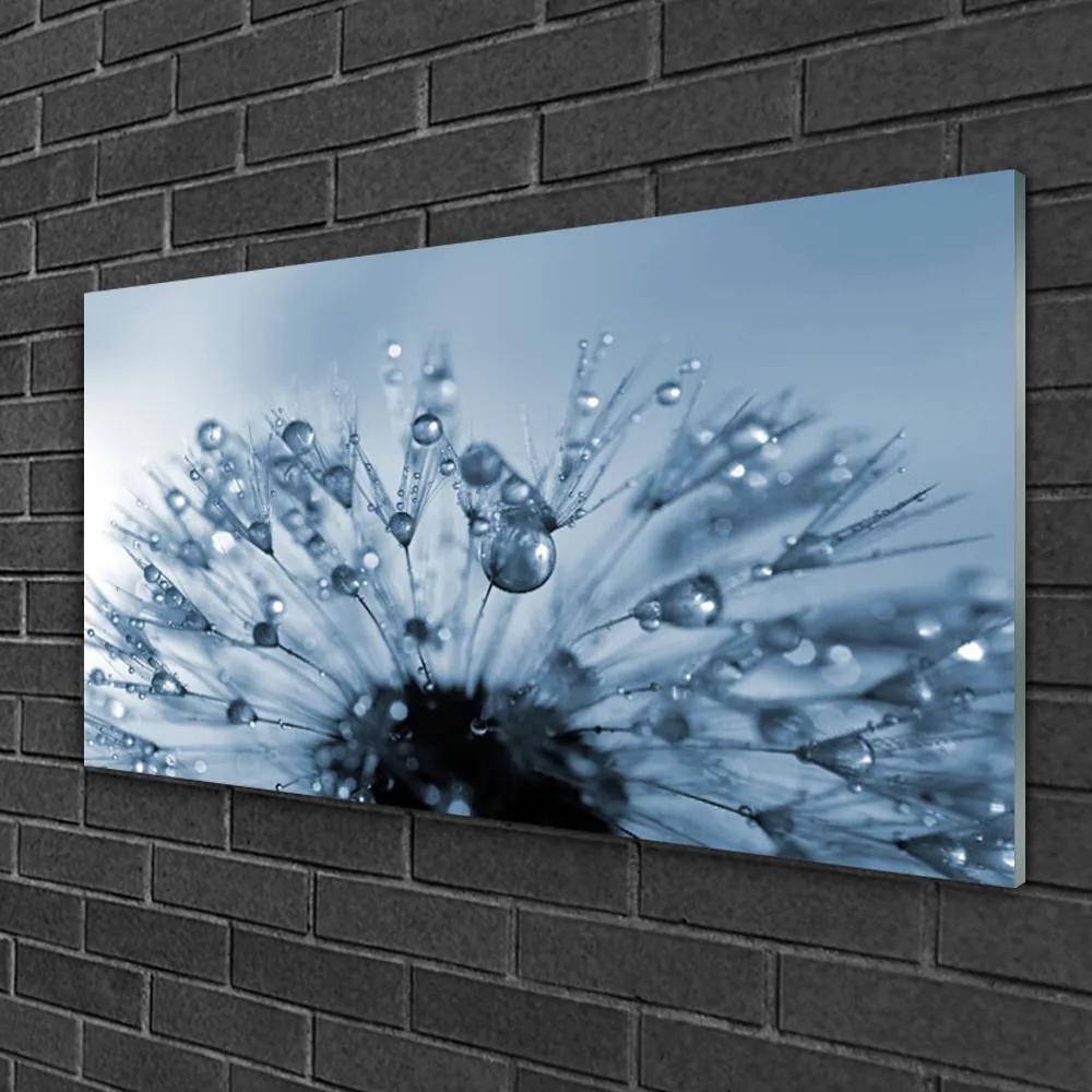 Modern üvegkép Gyermekláncfű virág Csepp 100x50 cm
