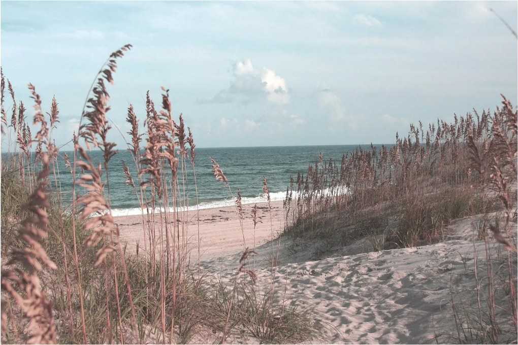 Kép - Rózsaszín strand (90x60 cm)
