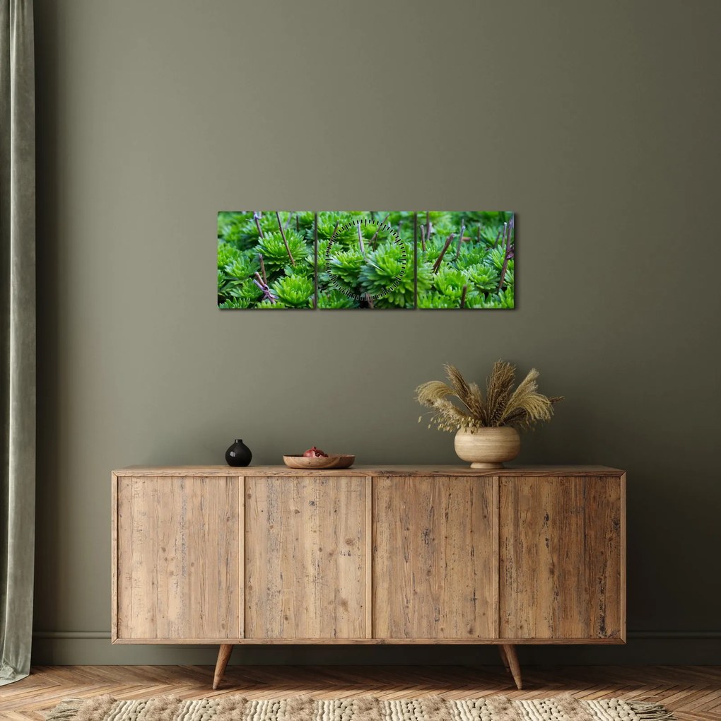 A pozsgás növények képe (órával) (90x30 cm)