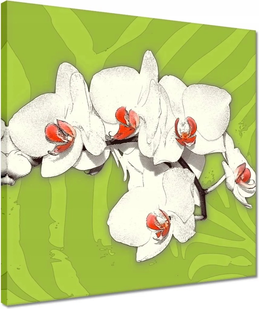 Vászonkép 40x40 Lime és orchidea