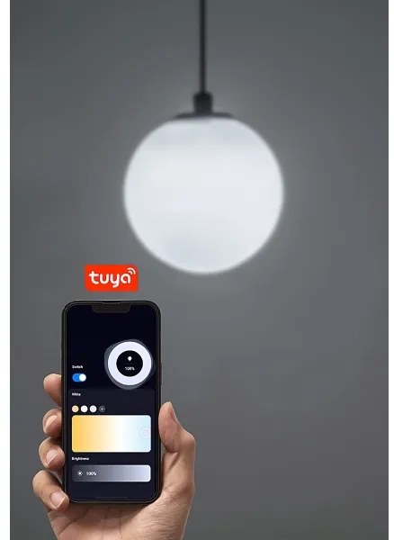 Rabalux 70131 - LED dimmelhető csillár zsinóron 1-fázisú sínrendszerhez LiTrack LED/5W/24V