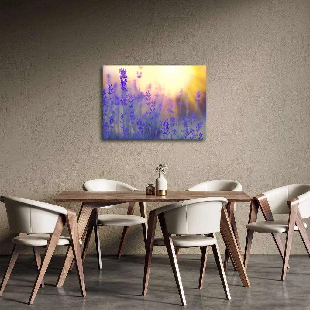 Kép - Levendula (70x50 cm)