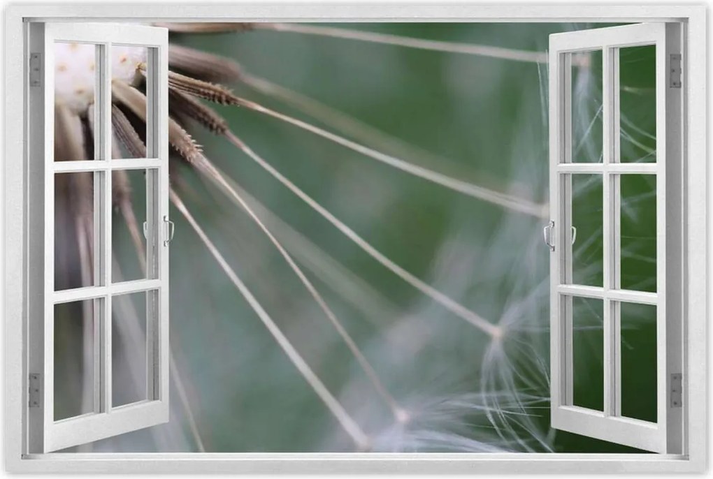 Poszterek 90x60 Pitypang Virág Virágok