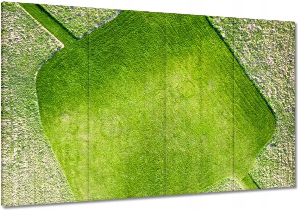 Képek 120x80 Fű mező rét út