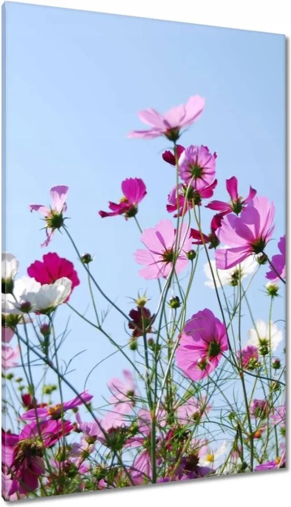 Vászonkép 80x120 Rét virágokkal