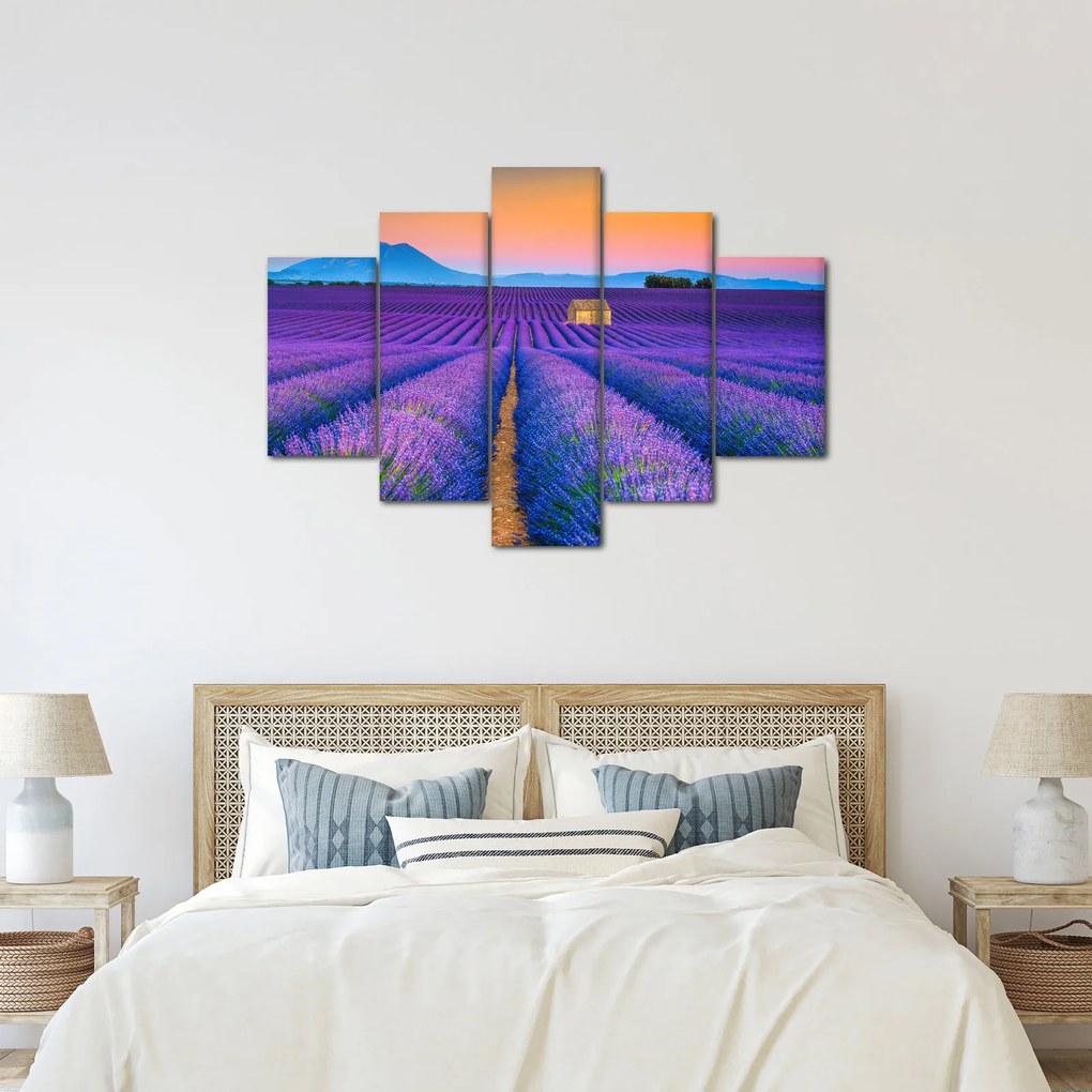 Kép - Levendula mező (150x105 cm)