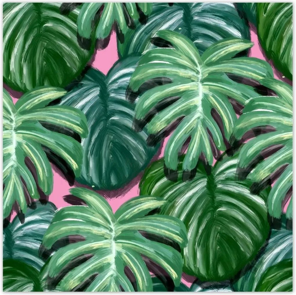 Poszterek 140x140 Monstera Levelek levél