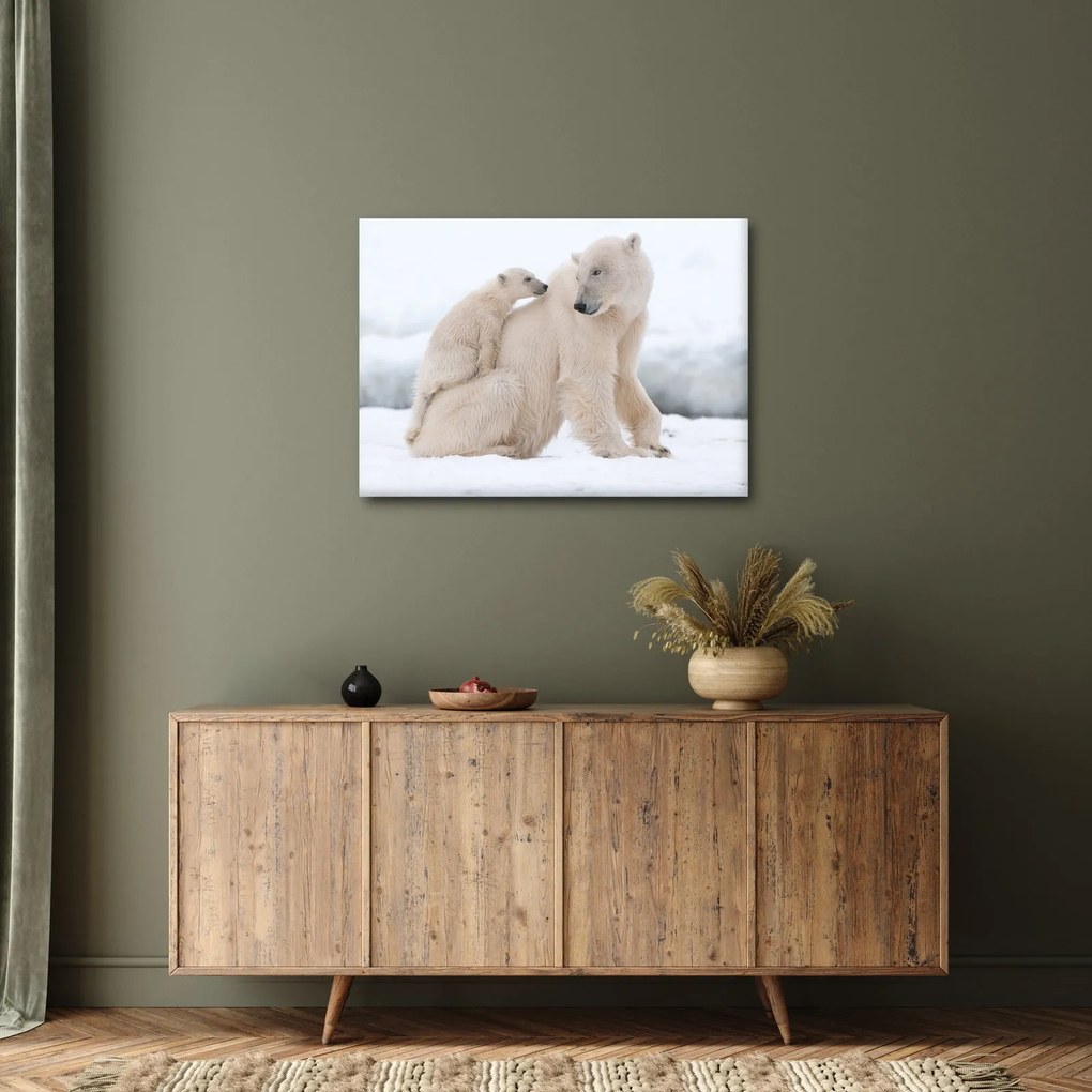 Kép - Jegesmedvék (70x50 cm)