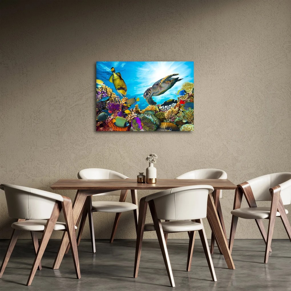 Egy korallzátony képe (70x50 cm)