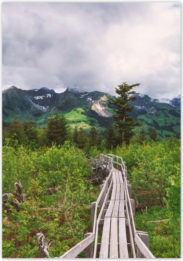 Poszterek 70x100 Híd Építészet Tájkép