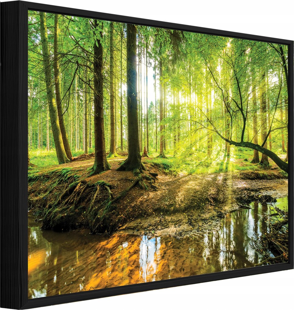 Vászonkép Fekete Keretben Erdő Fák Természet Nappali Hálószoba 60x40