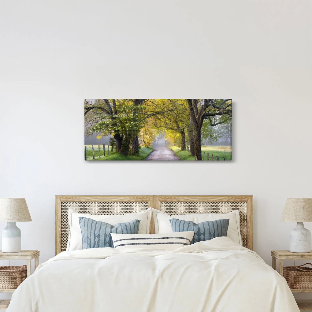 Kép - Smoky, hegység, Gatlinburg, USA (120x50 cm)