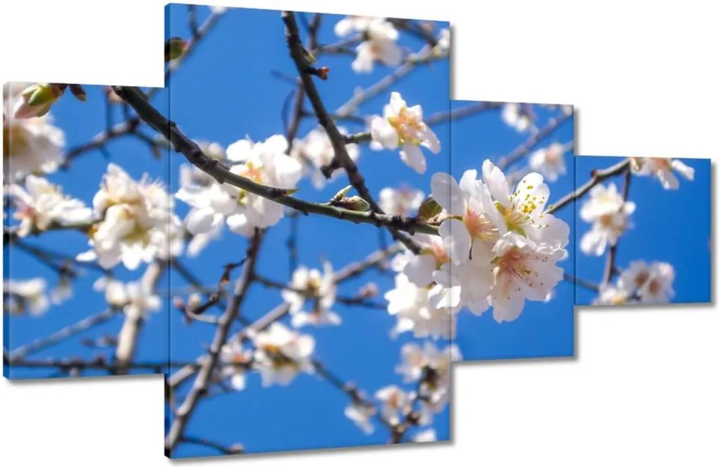 Vászonkép 130x80 Almafa virág