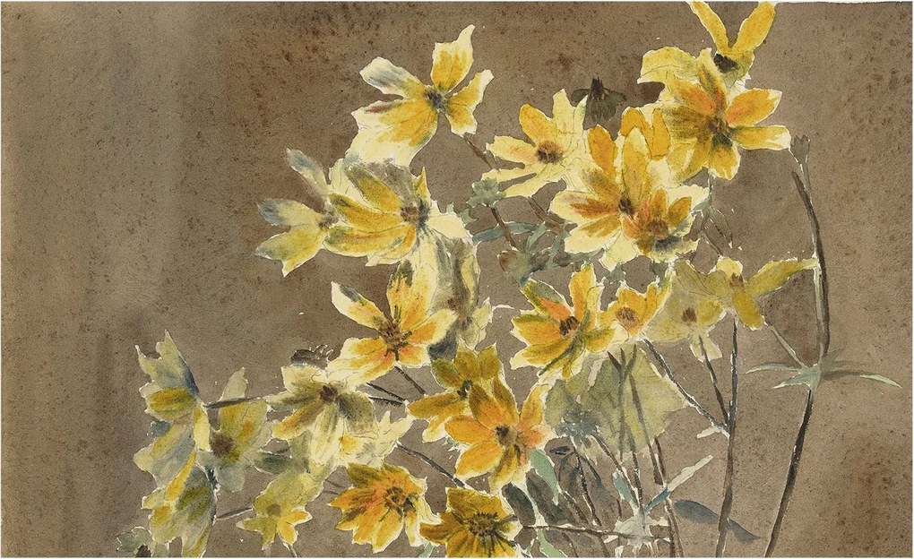 Dekoratív Fotótapéta Hálószobába Napsütötte csokor 416x254