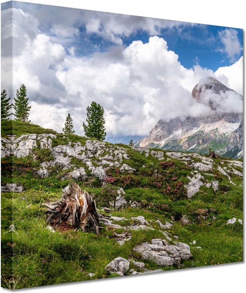 Festmények 20x20 Hegyi kilátás Tájkép