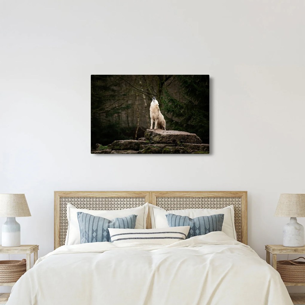 Kép - A farkas üvöltése (90x60 cm)