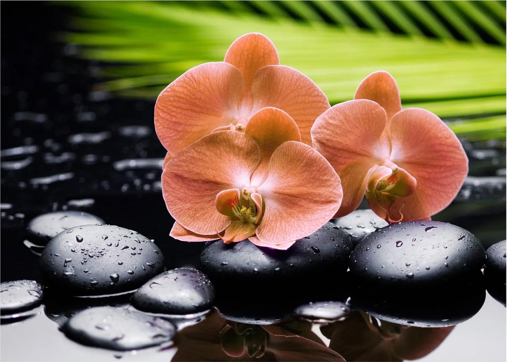Üveg kép - Narancssárga orchidea pálmalevelekkel (70x50 cm)
