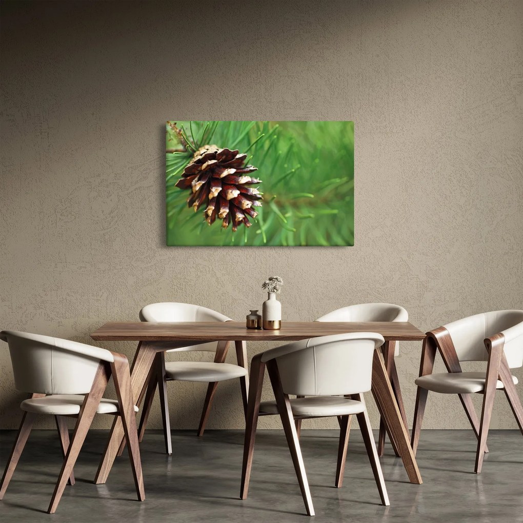 Fenyőtoboz képe (90x60 cm)