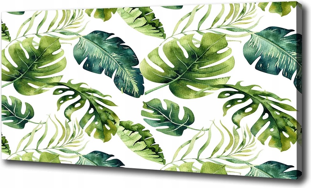 Vászonkép Trópusi levelek 100x70 cm
