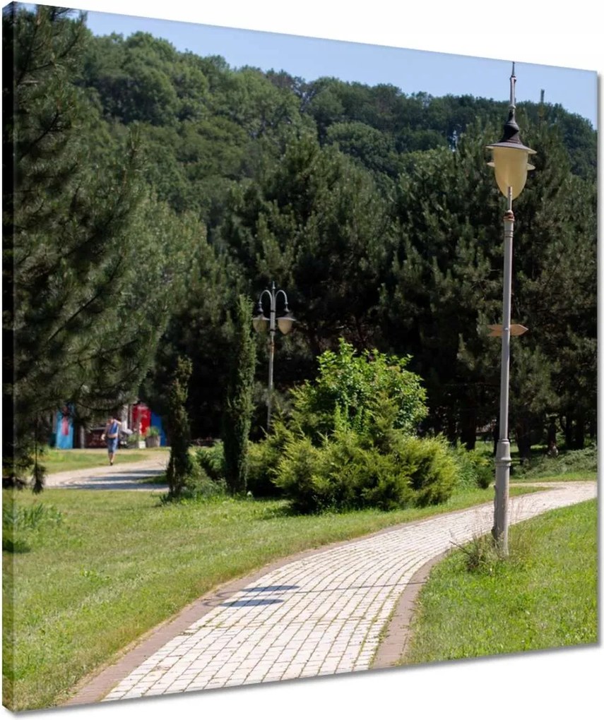 Vászonkép 50x50 Zöld park fákkal