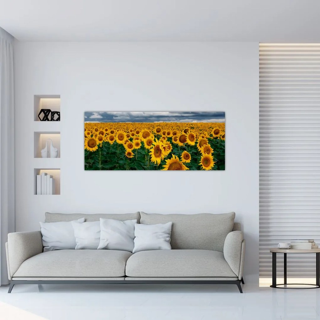 Napraforgó mező képe (120x50 cm)