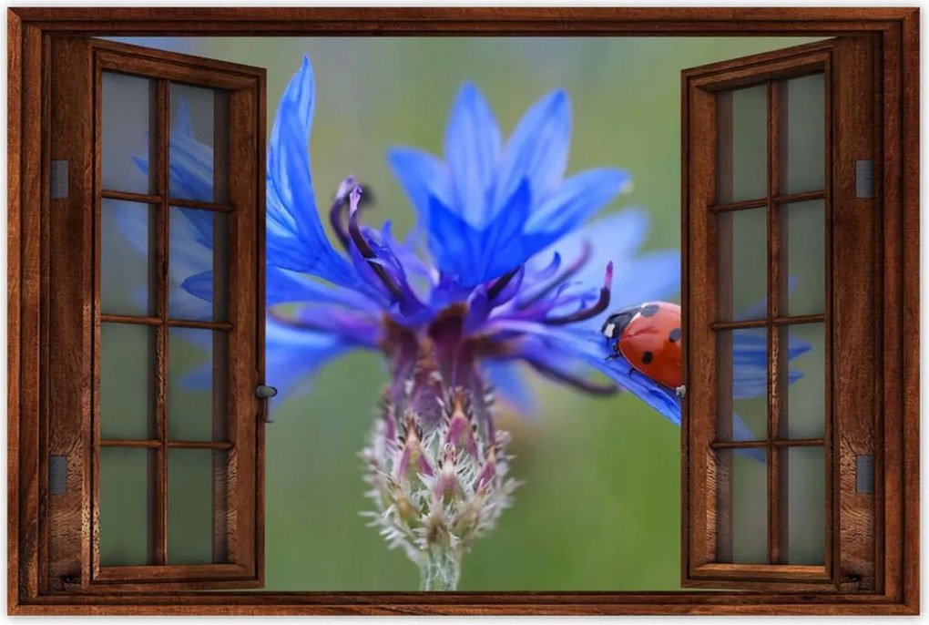 Poszterek 90x60 Haber katicabogárral