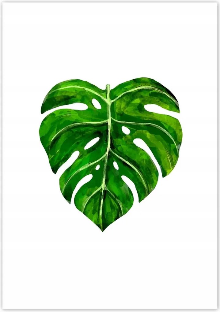 Poszterek 70x100 Modern levél motívum