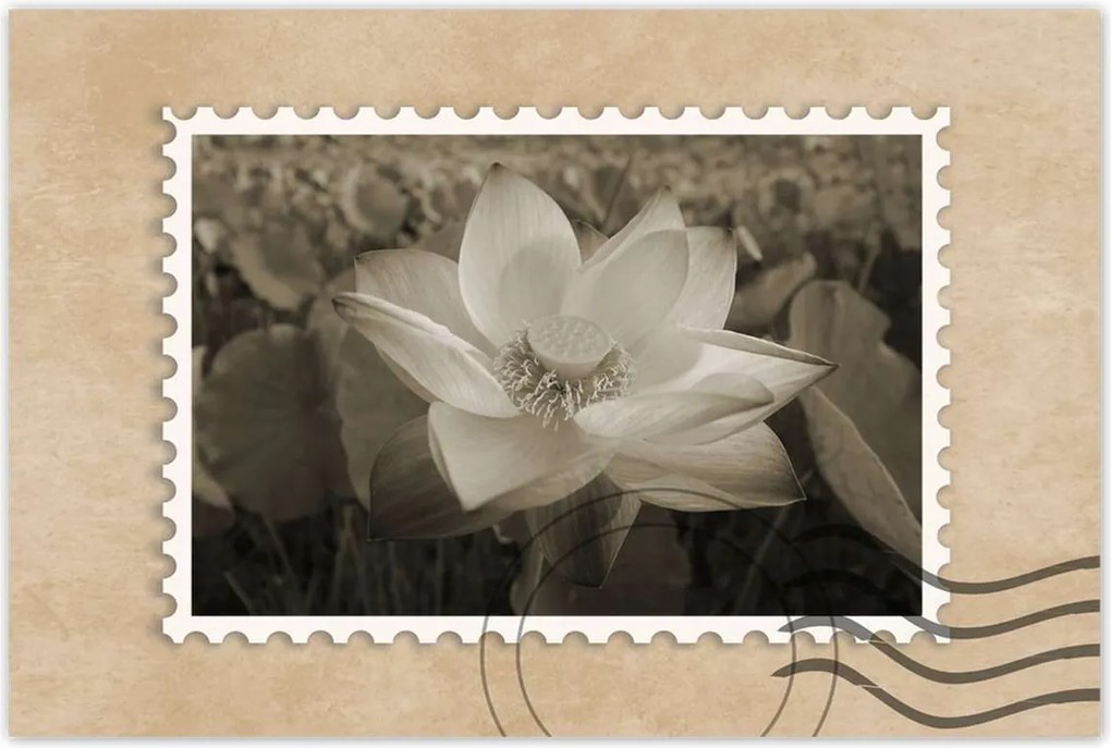 Poszterek 90x60 Lótusz Lótuszvirág