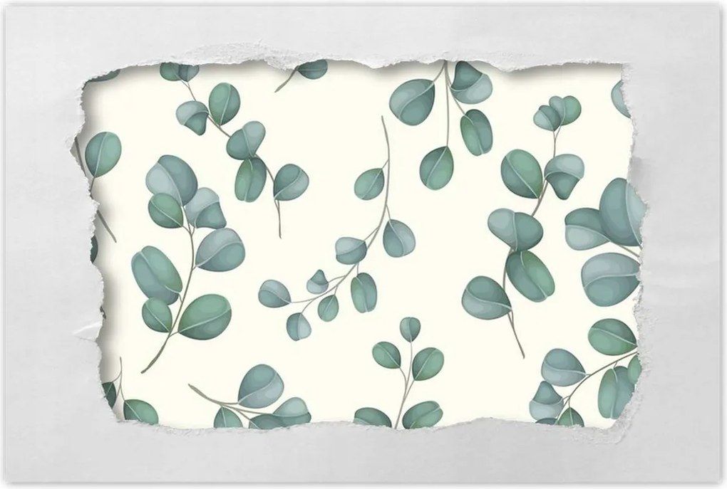 Poszter 60x40 Eukaliptusz ágak