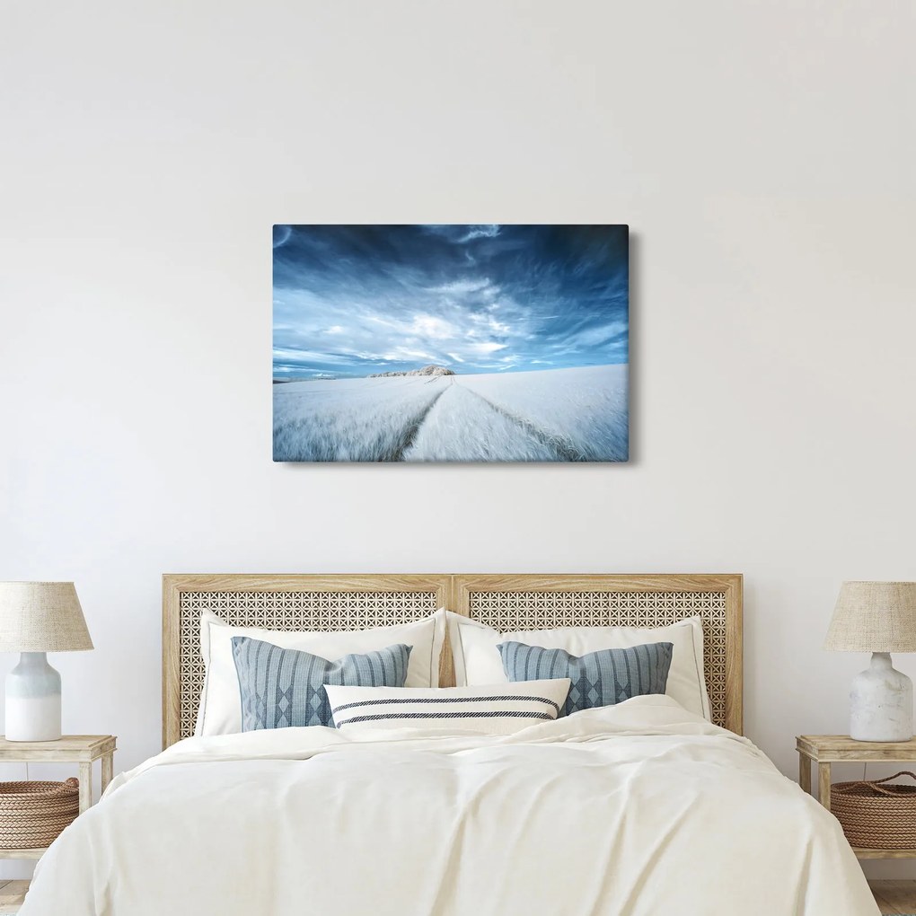 Mezőkép (90x60 cm)