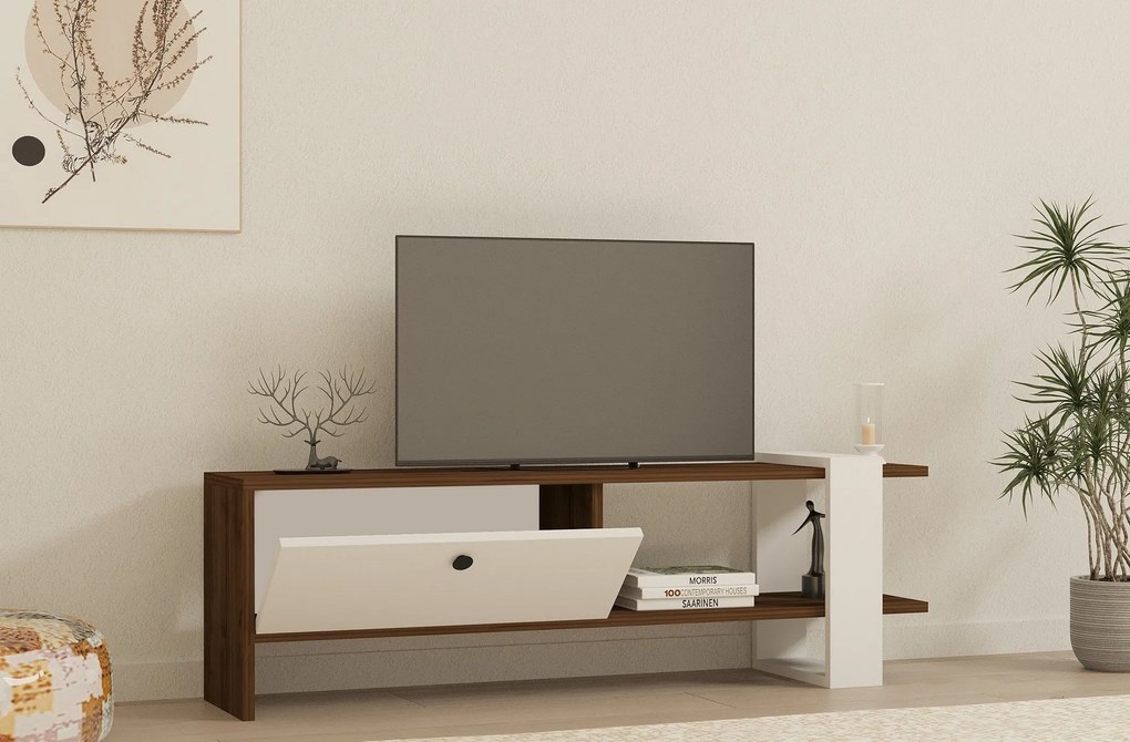 TV szekrény Gaye - Walnut, White