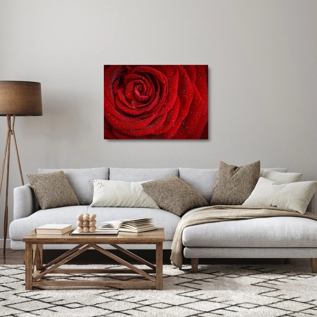 Kép - részlet a rózsáról (üvegen) (70x50 cm)