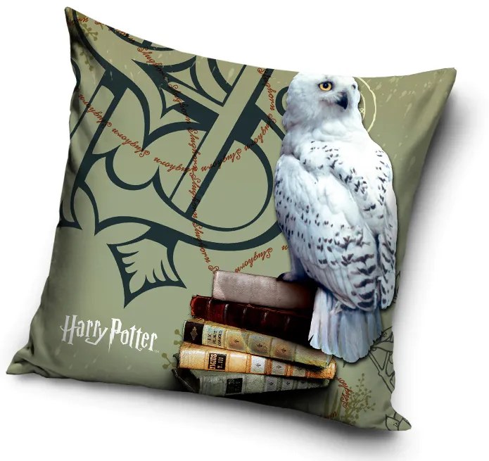Harry Potter Hedvig párnahuzat 40x40 cm