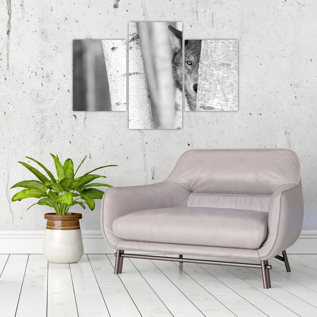 Kép - Farkas az erdőben (90x60 cm)