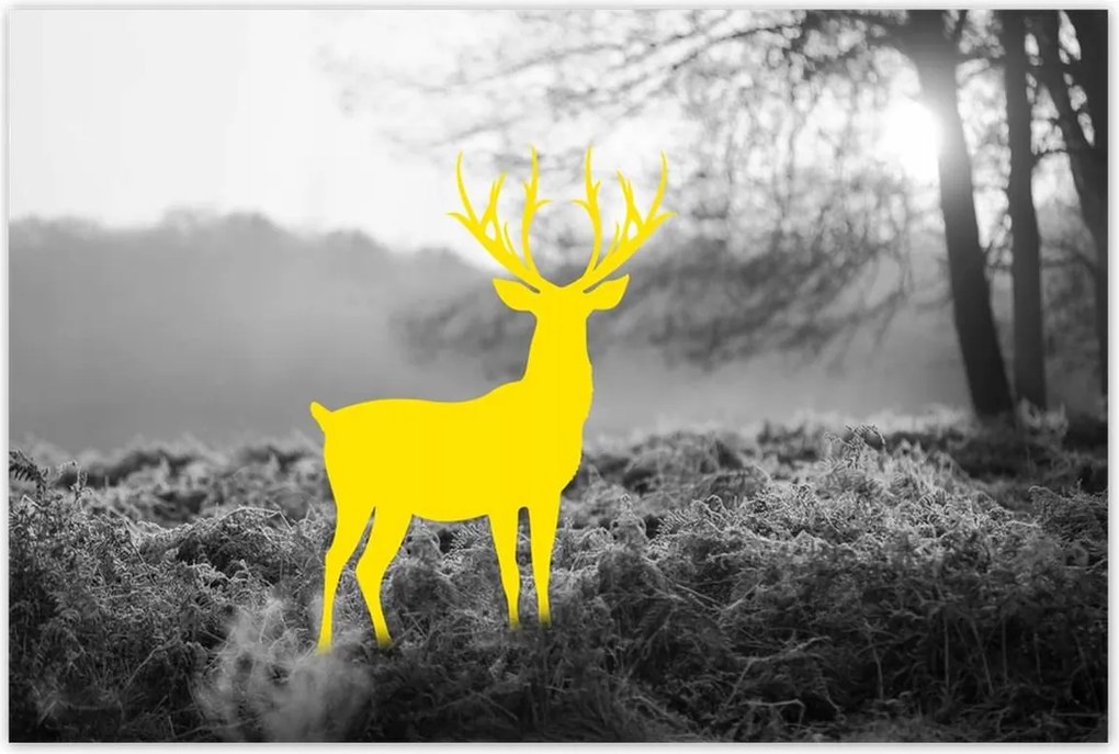 Poszterek 120x80 Sárga szarvas Erdő Tájkép