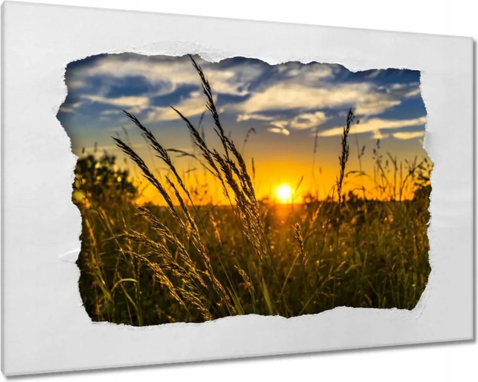 Vászonkép 120x80 Naplemente a füvek között