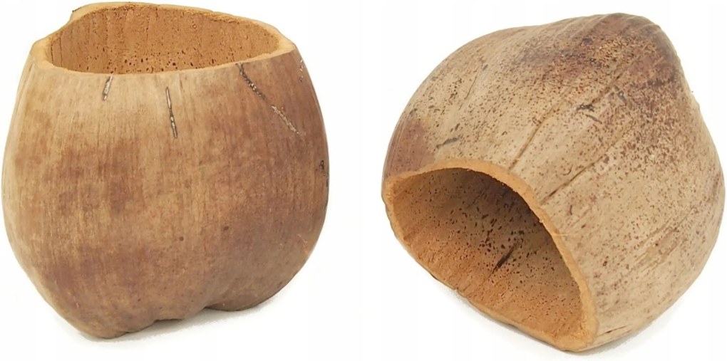 BioCoco Pot Kókusz kaspó Kókusz fedél orchideákhoz Epifita