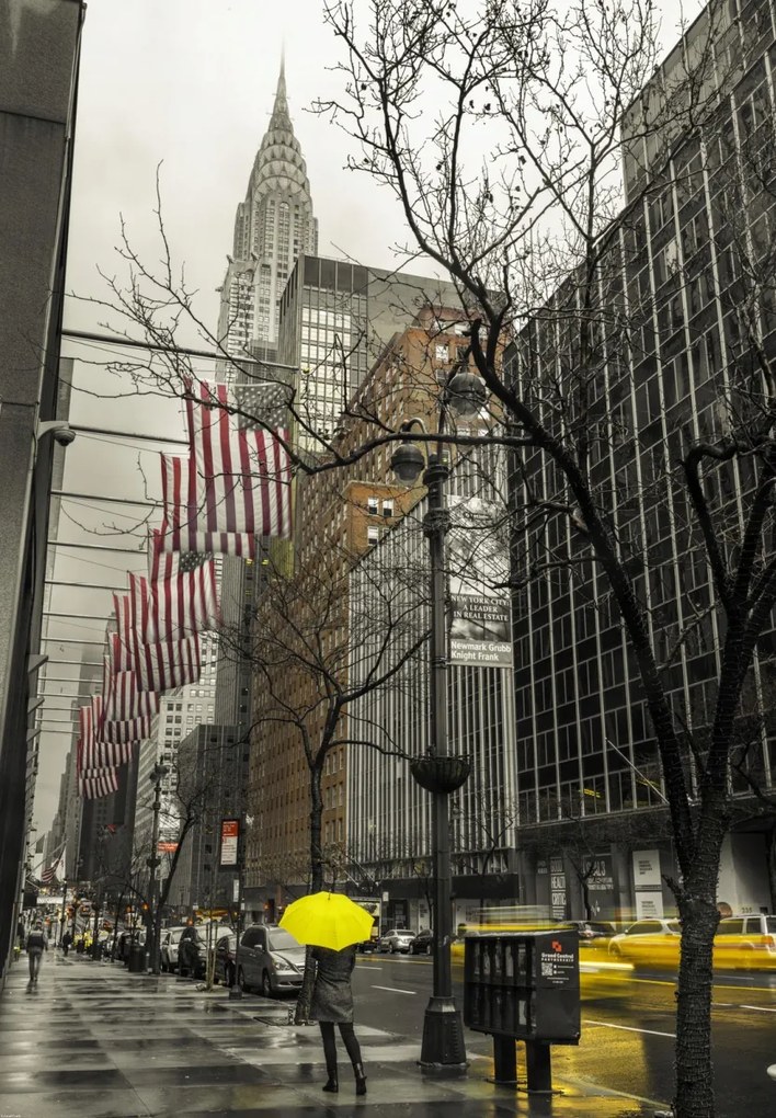 Poszter 68x98cm Nő sárga esernyővel New York utcáin, Assaf Fran