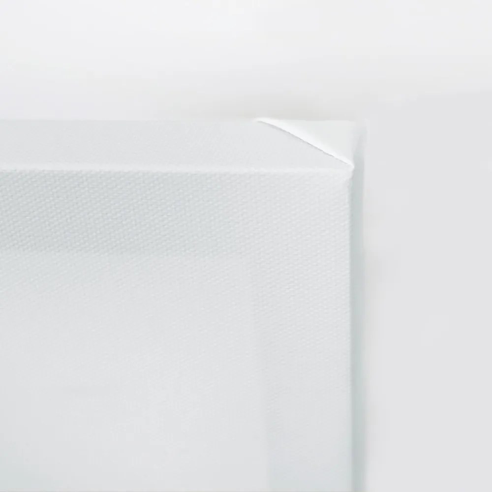 Gario Vászonkép Mint a kézzel festett két pipacs Méret: 30 x 30 cm