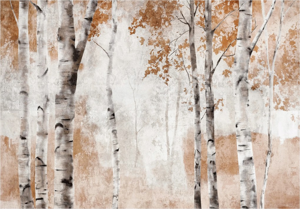 Fotótapéta Őszi nyírfák az erdőben meleg és otthonos 312x219 +ragasztó