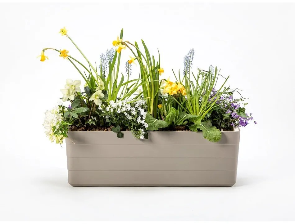 Plastia Berberis 80 Önöntöző virágláda szürke + elefántcsont, 80 cm