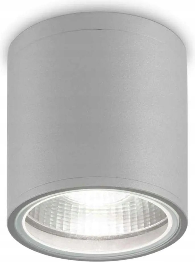 Ideal Lux Gun PL1 grigio 163642 szürke IP44 kültéri mennyezeti lámpa
