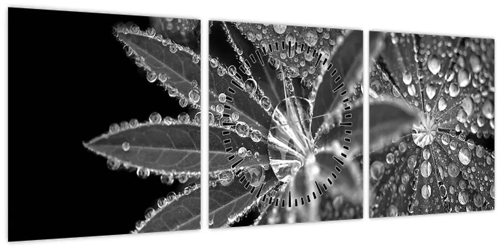 Kép - Levelek cseppekkel (órával) (90x30 cm)