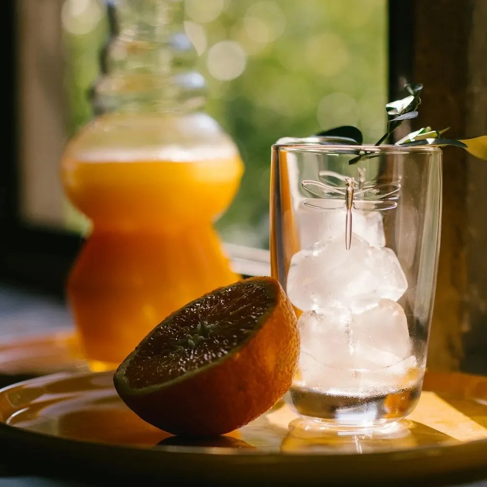 Libellules üvegpohár, 350 ml - La Rochère