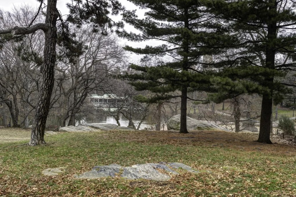 Poszter 91,5x61cm Central Park, New York, Assaf Frank